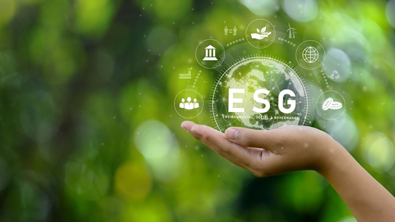 ESG-s uniós irányelvek: Magyarország az élen az átültetésben, minden vállalkozásnak fel kell készülnie