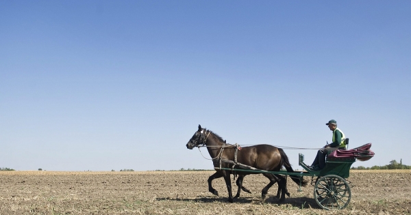 Új NAV-állásfoglalás a mobilitási célú lakhatási támogatásról