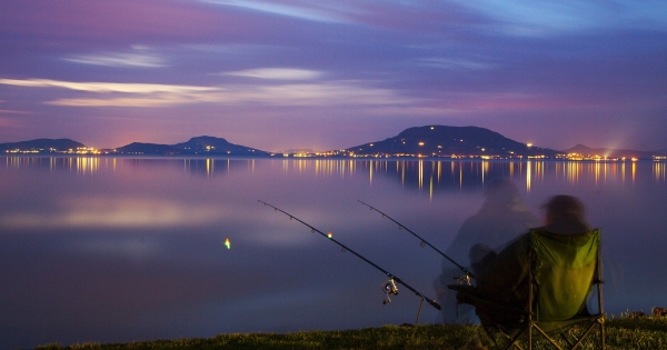 Felfüggesztett adószám? Ne essen kétségbe!