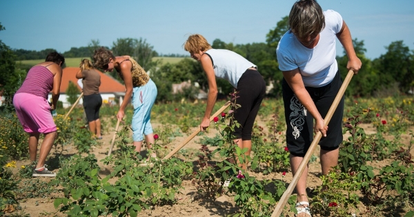 Szigorodnak a közfoglalkoztatási szabályok, a munkaerőpiacra terelnék a hosszú ideje közmunkásokat