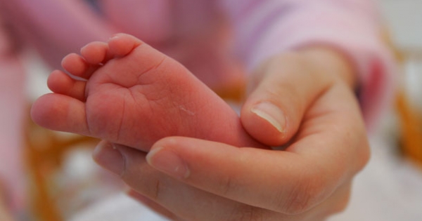Vezető állású munkavállaló jogai szülés előtt és után