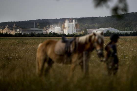 Orbán Viktor unokaöccse beszállt a családi bányabizniszbe, elvitte a Gánt Kő negyedét