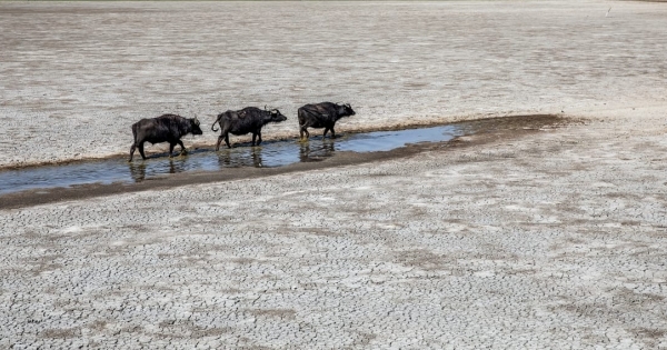 Négyezer milliárd dolláros kárt okozott eddig a klímaváltozás, és ez még csak a kezdet