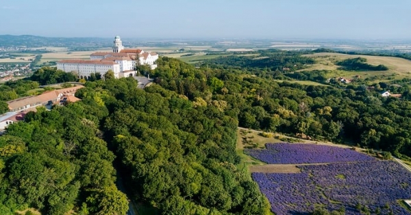 Berobbant Győr–Pannonhalma, visszaesett Tokaj – több magyar nyaralt itthon, de kevesebb ideig