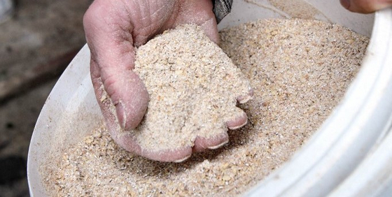 Idén már jóval alacsonyabb takarmányáraknak örülhetünk