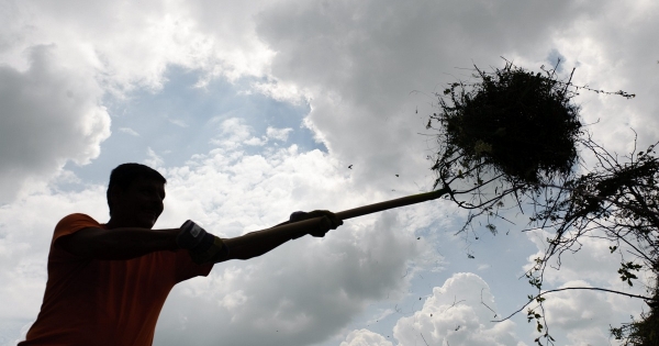 Őstermelők, figyelem: sietni kell az idei betétlapok igénylésével!