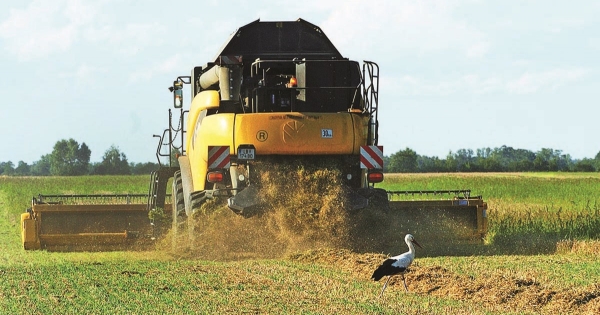Változott a termőföld védelméről szóló törvény