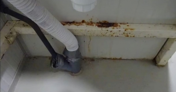 Véres tócsa, rozsda, horrorisztikus körülmények – vadfeldolgozót záratott be a Nébih