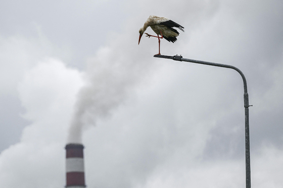 Elhalasztott fenntarthatóság: csúsztatná a kormány az ESG-kötelezettségek bevezetését