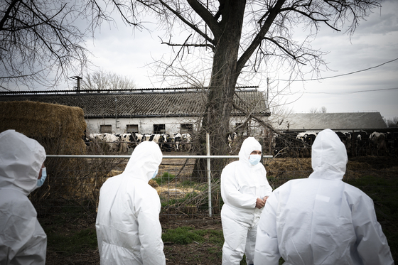 Bekeményít Ausztria a határok mentén a száj- és körömfájás miatt