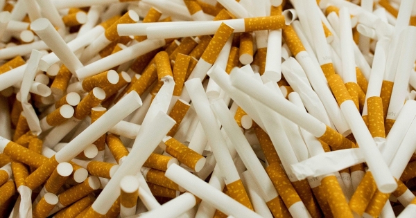 NAV: több mint 17 millió forint értékű román zárjegyes cigarettát foglaltak le a pénzügyőrök az M1-es autópályán