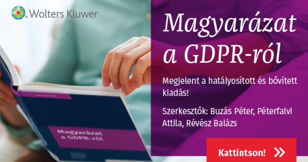 Helyi adó rendelet értelmezése