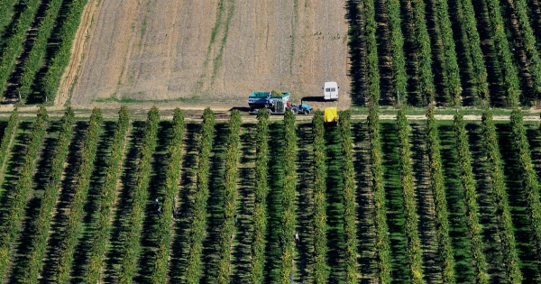 Szánt a traktor, dübörög az eke, kedvezményezett-e?