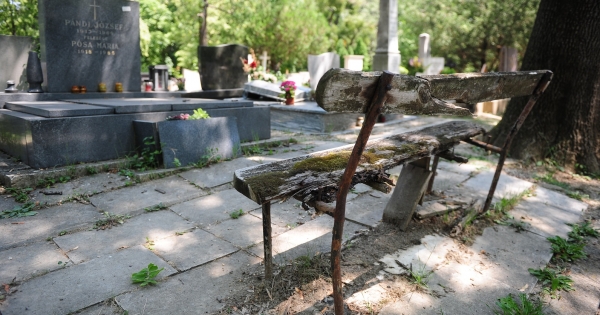 Árvaellátás, szülői nyugdíj jogosultsági feltételei