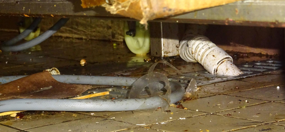 Elrendelte a kínai éttermek országos ellenőrzését a fogyasztóvédelem