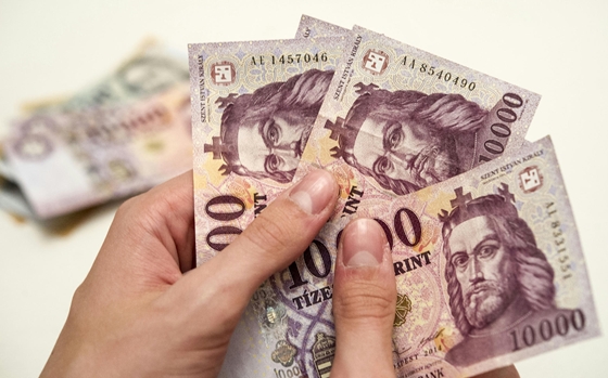 25 milliárd forint támogatást síbolhattak el korrupt hivatalnokok és társaik