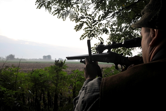 Újabb részletek: autójából lőtt a kirándulót megsebesítő a vadász, a sértett egy környezetvédelmi aktivista
