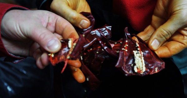 Buktatók családi gazdaság tagjainak jövedelemszámításakor