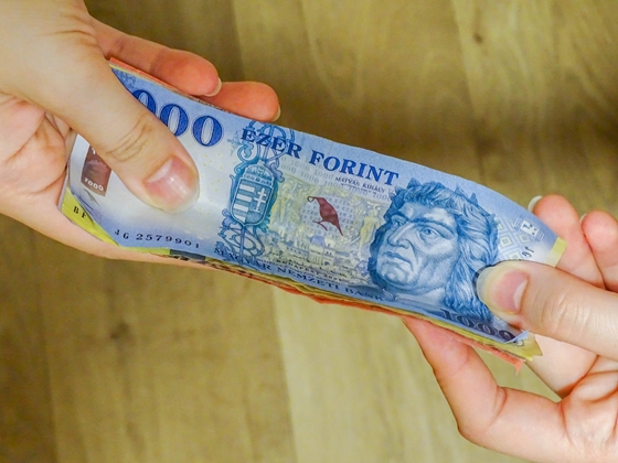 Kiderült, hogy mennyien elégedettek a fizetésükkel