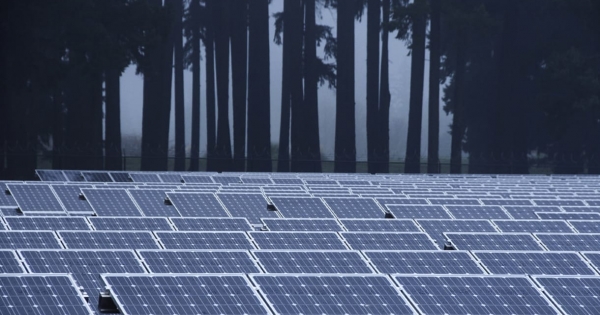 Kisöpörték Matolcsy Ádám menedzsereit egy tőzsdei cégből