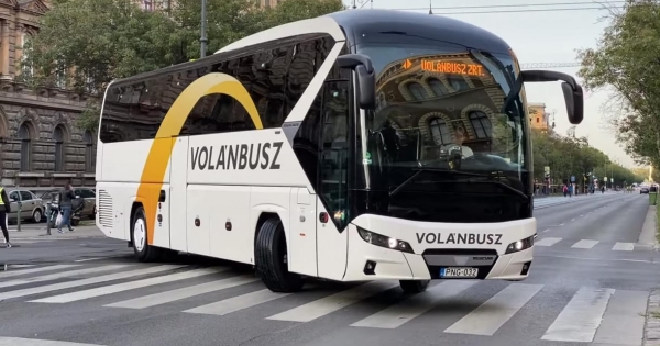 Magyar Péter közzétette, a hír igaz: fogdában van Szivek Norbert és Jellinek Dániel