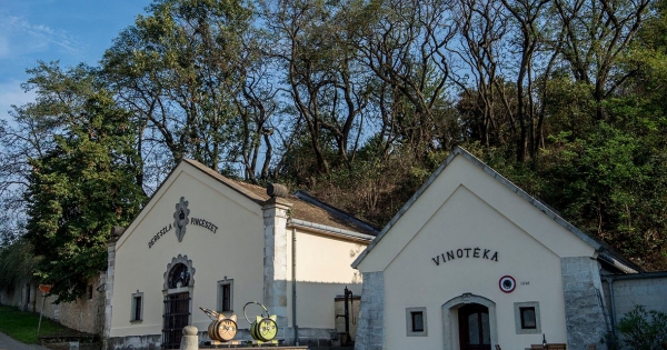 Csányinak és Mészárosnak sem fial a borágazat