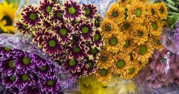 Alkalmi virágárusok, koszorúkészítők: kell-e adózniuk?