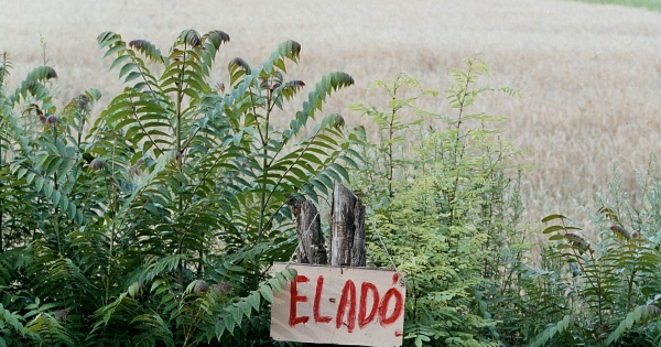 Különös szabály az szja-törvényben átminősített termőföld eladására