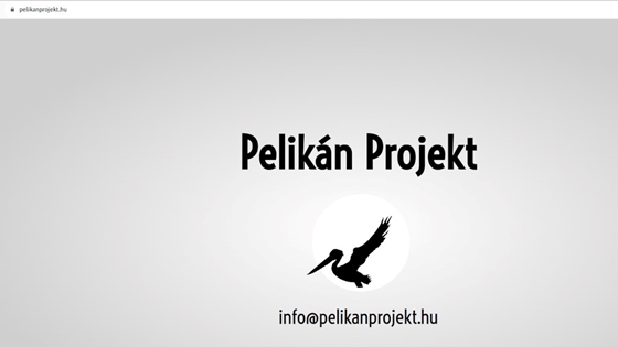 Pelikán Projekt néven alapított céget Mészáros Zsófia, a 444 volt vezető szerkesztője