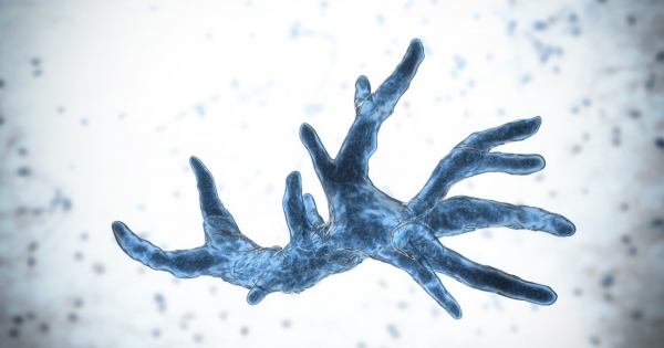 Átalakuló egyéni cég: mi lesz a visszaigényelt áfával?