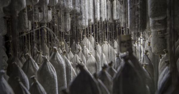 Nagyon csúnya beruházási adatot közölt a KSH