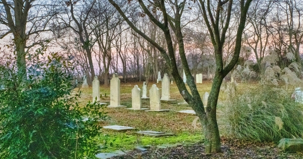 NAV: öröklési illetékről szóló, 20. számú információs füzet