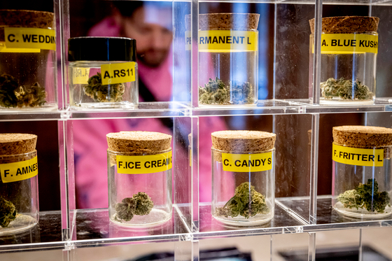 Korábban börtönben is ült, most ő lesz a német kannabiszlegalizálás egyértelmű nyertese