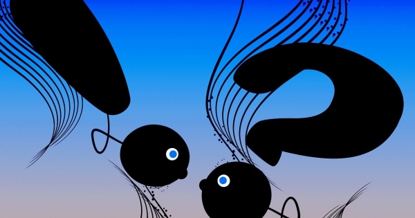 Ezért fontos a jogviszony pontos meghatározása, megfelelő kiválasztása