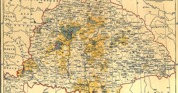 Szőlő és bor – a reformkortól a XIX. század végéig