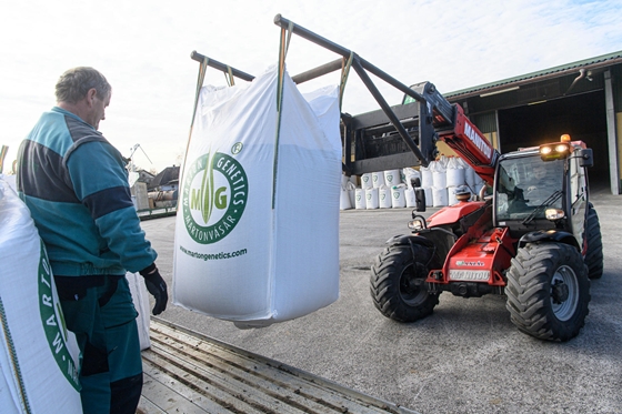 Kezdtünk beleunni a stresszbe, hogy vagy van eső, vagy nincs eső - aztán az élet mást hozott