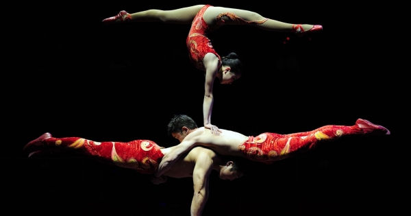 Tulajdonos, ügyvezető és katás: tb többes szereposztásban