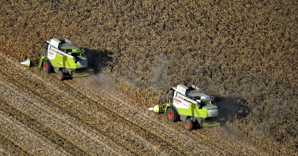 Termőföld vagy ingatlan? Ezt kell vizsgálni a bérbeadásnál