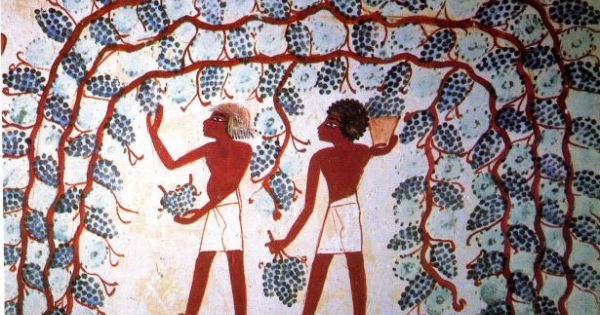 A szőlő és a bor adózása a régmúltban – 1. rész