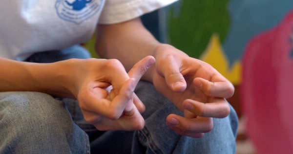 Szociális szövetkezet: kit foglalkoztathat, mennyi a közteher?