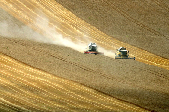 Eltiltják a cégvezetéstől a csődpriuszos vezetőket, de csak egy szűk területen
