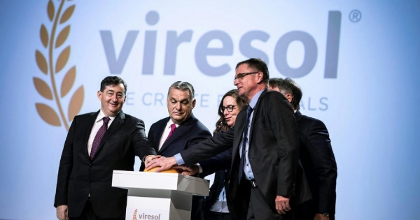 Mészáros Lőrinc nagyobb tempóban növelte a vagyonát, mint Elon Musk