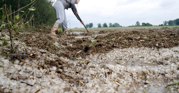 Elutasította az Alkotmánybíróság a földhaszonbérleti díjak módosításával kapcsolatos bírói indítványokat