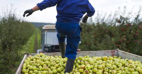 Útvesztő a tb-szabályokban – erre az iránytűre szüksége lehet