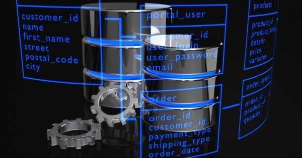 Szellemi termék vagy vagyoni értékű jog?