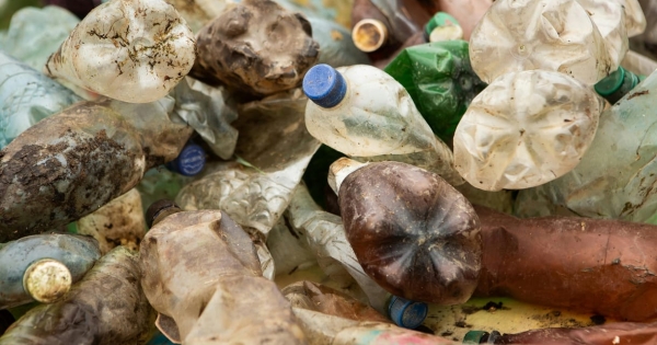 Leiskolázta versenytársait a Spar a szemétrangsorban, de nekik is van még hová fejlődniük