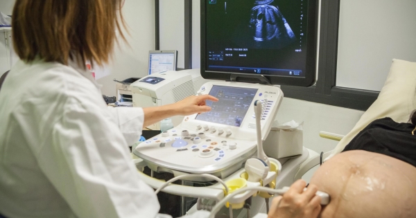 Jogviszonyváltás előnyei és veszélyei a csedre