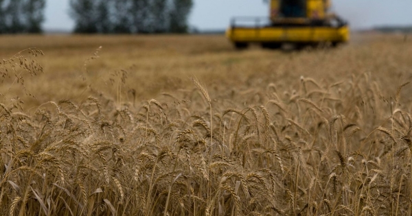 Öt banknak tartozik Kósa Lajos rokonának agráripari cége, köztük Mészáros Lőrincének