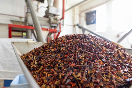 A zöldség, ami Nobel-díjat ért és már száz éve is hamisították: megnéztük, mitől lesz az igazán jó a szegedi fűszerpaprika