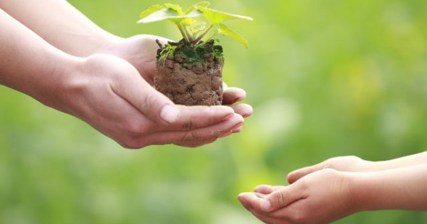 Így rendelkezhet adója 1+1 százalékáról 2017-ben